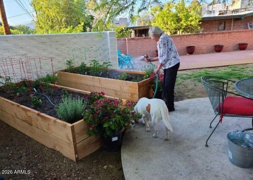 113 N Avenida De San Ramon --, Tucson, AZ 85710 - Image #2