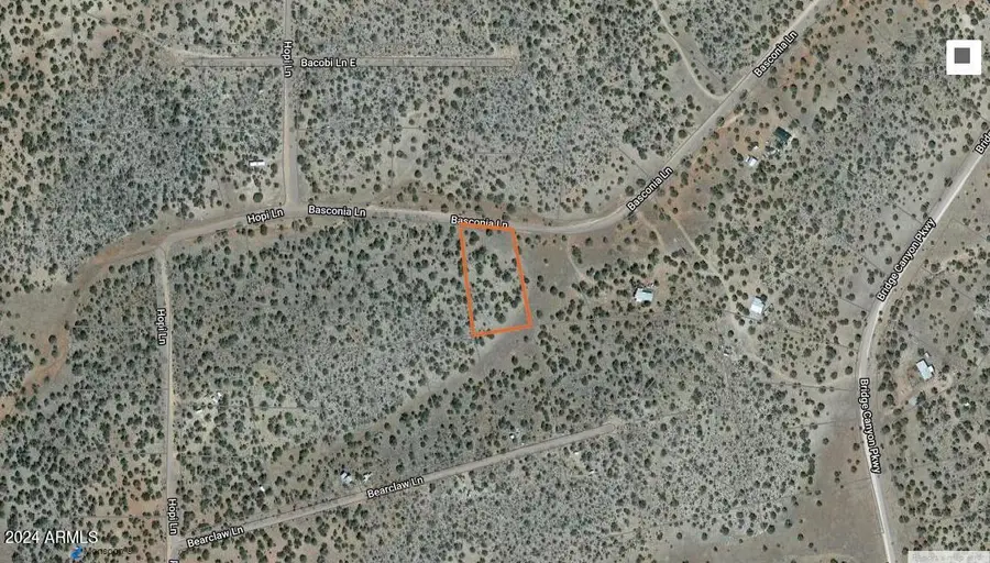 30743 W Basconia Road #4311, Seligman, AZ 86337 - #3