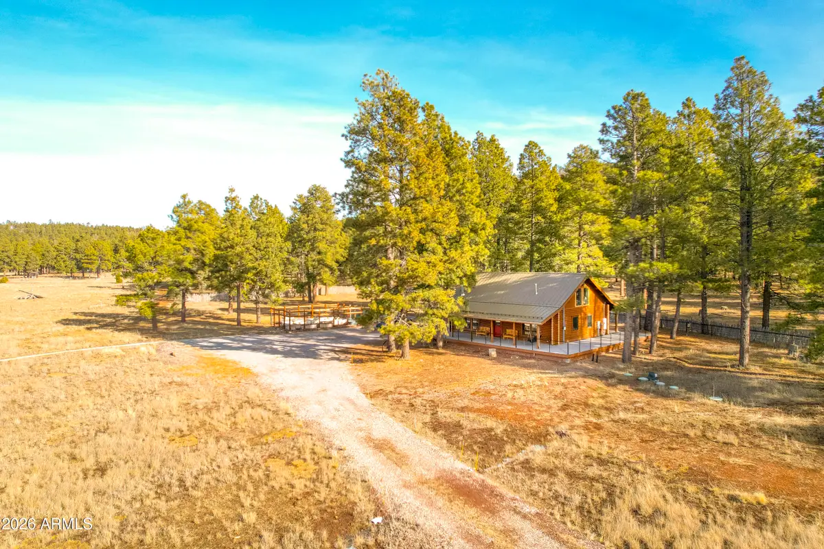 39291 Lake Mary Road, Happy Jack, AZ 86024 - #1