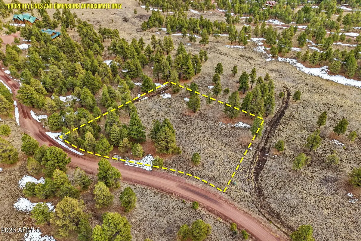 14 County Road N 1332 -- #36, Greer, AZ 85927 - #1