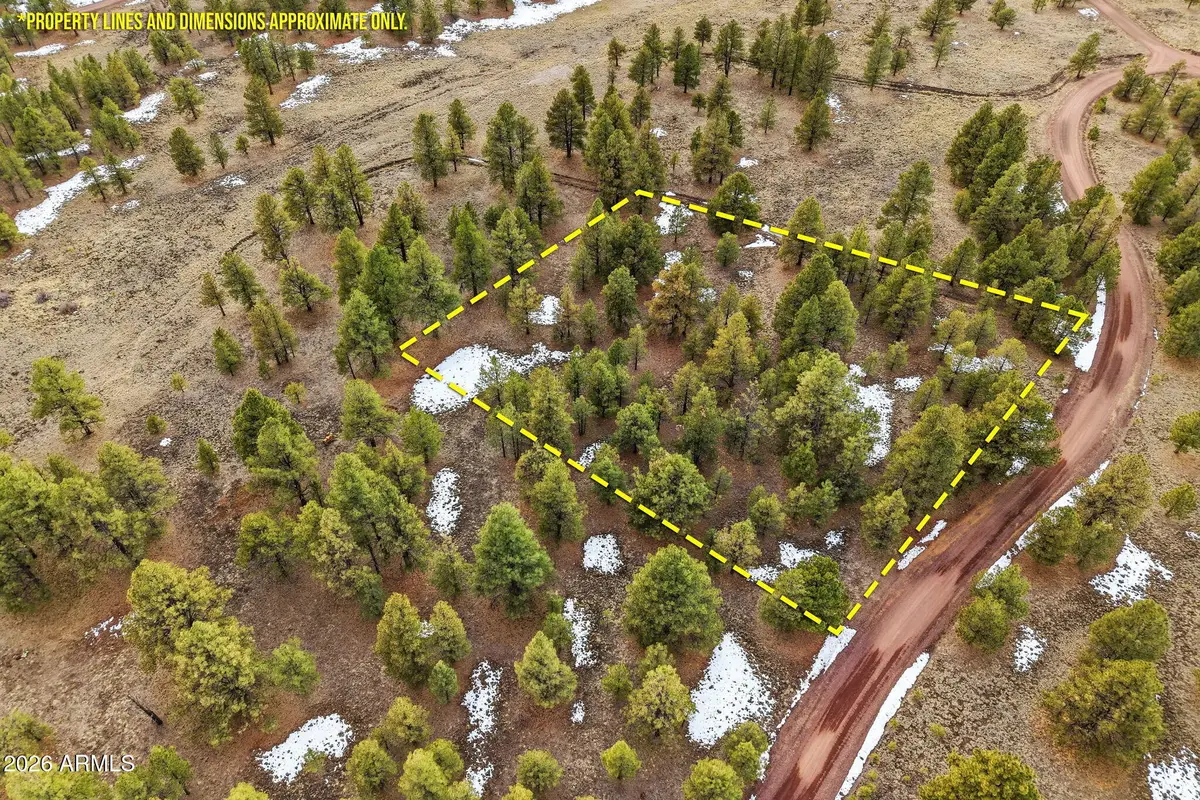 20 County Road N 1332 -- #37, Greer, AZ 85927 - #1