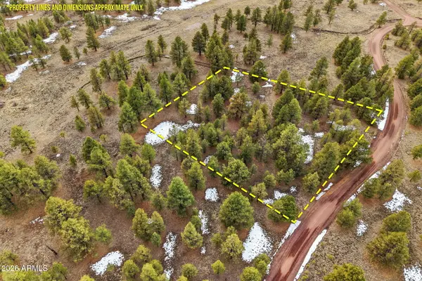 20 County Road N 1332 -- #37, Greer, AZ 85927