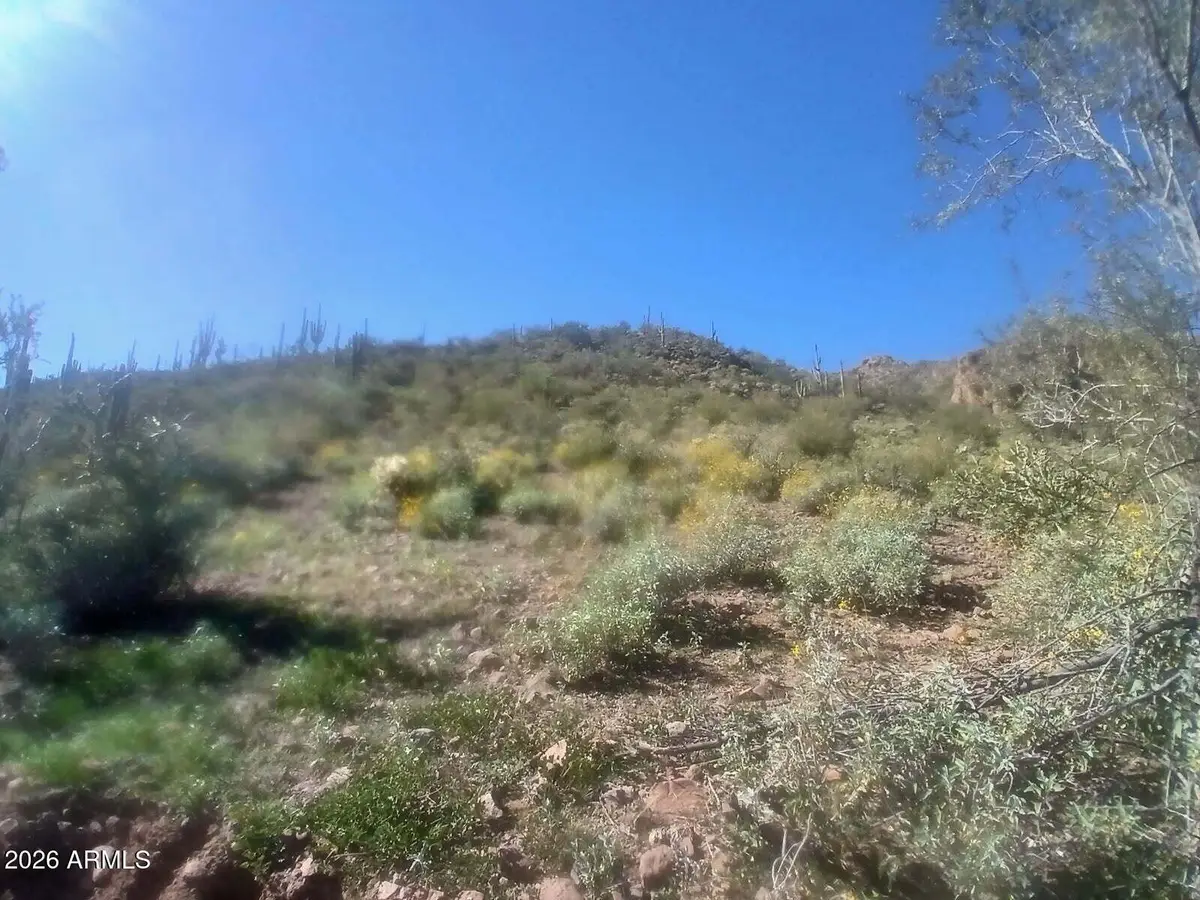 37750 S Cow Creek Road #53, Morristown, AZ 85342 - #1