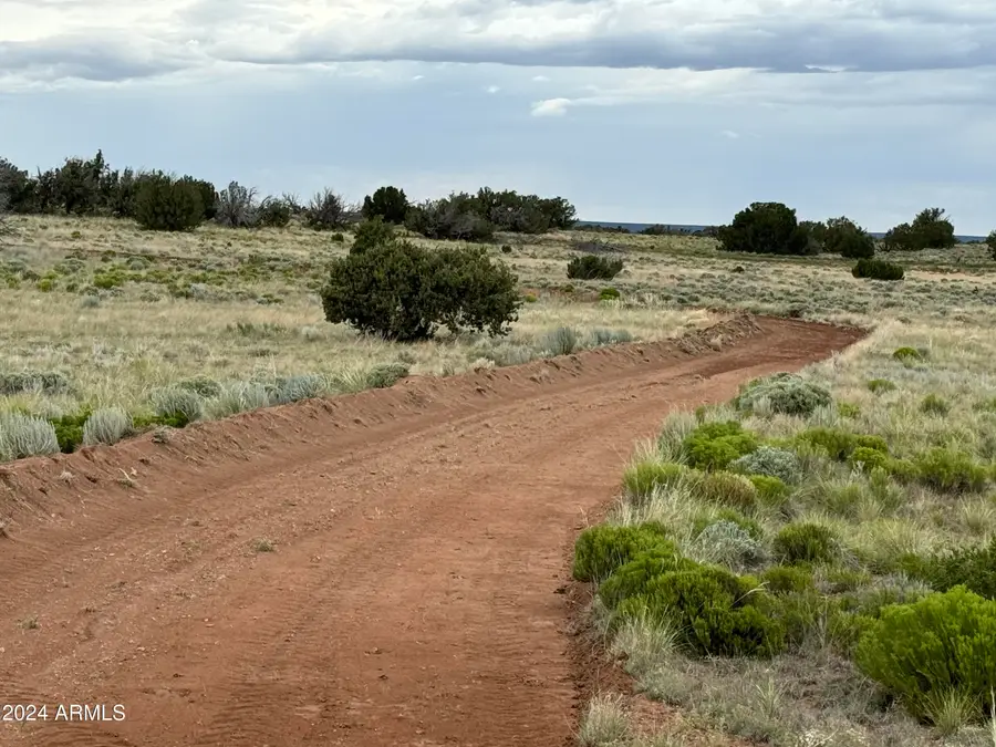 217 Sierra Highlands Ranch -- #217, Saint Johns, AZ 85936 - #2