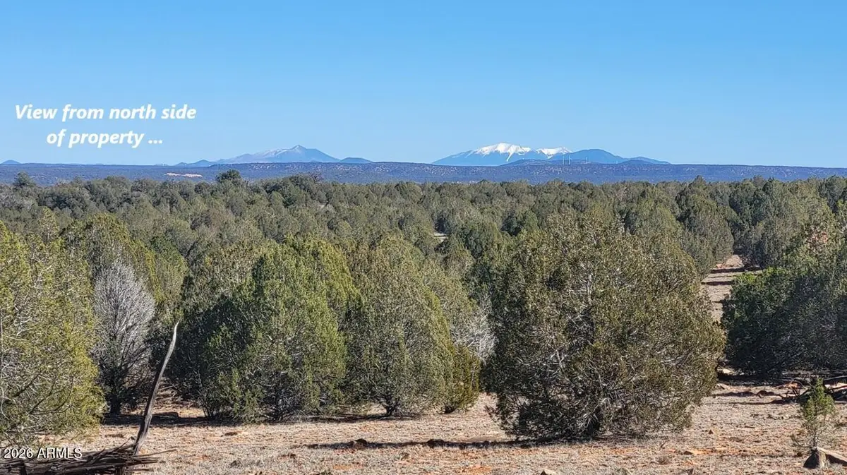 861 E2 Cable Road #861, Williams, AZ 86046 - #1