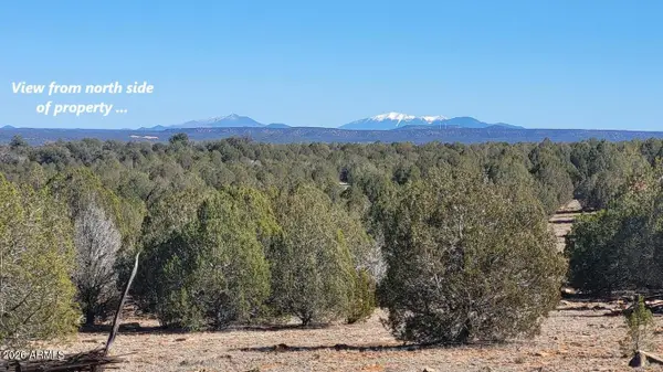 861 E2 Cable Road #861, Williams, AZ 86046