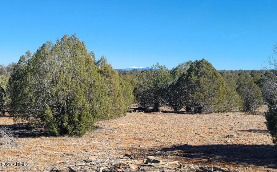 861 E2 Cable Road #861, Williams, AZ 86046 - #3