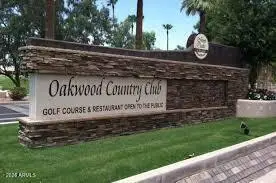 9121 E Diamond Drive, Sun Lakes, AZ 85248 - Image #3