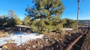 4 County Road 8127 -- #2369, Concho, AZ 85924 - Image #2