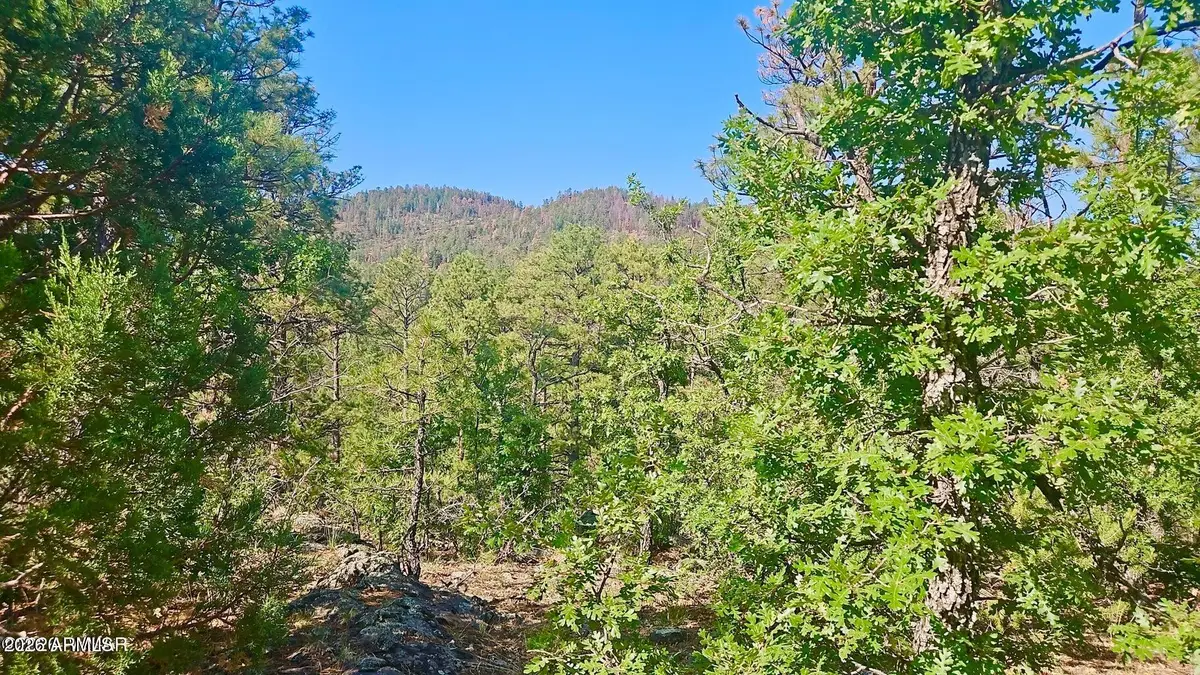 29 Co Rd 3199 --, Vernon, AZ 85940 - Image #1