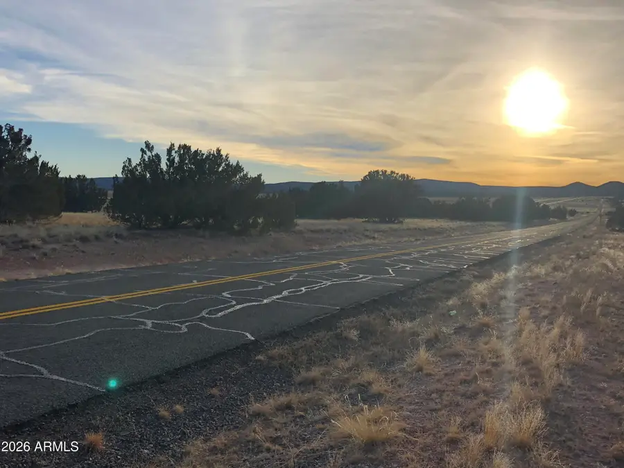 32134 W Forest Lane #1619, Seligman, AZ 86337 - #2