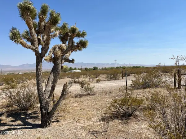 xxxxxx N Diane Road #301, Dolan Springs, AZ 86441