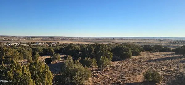 0 Arena Estates --, Taylor, AZ 85939