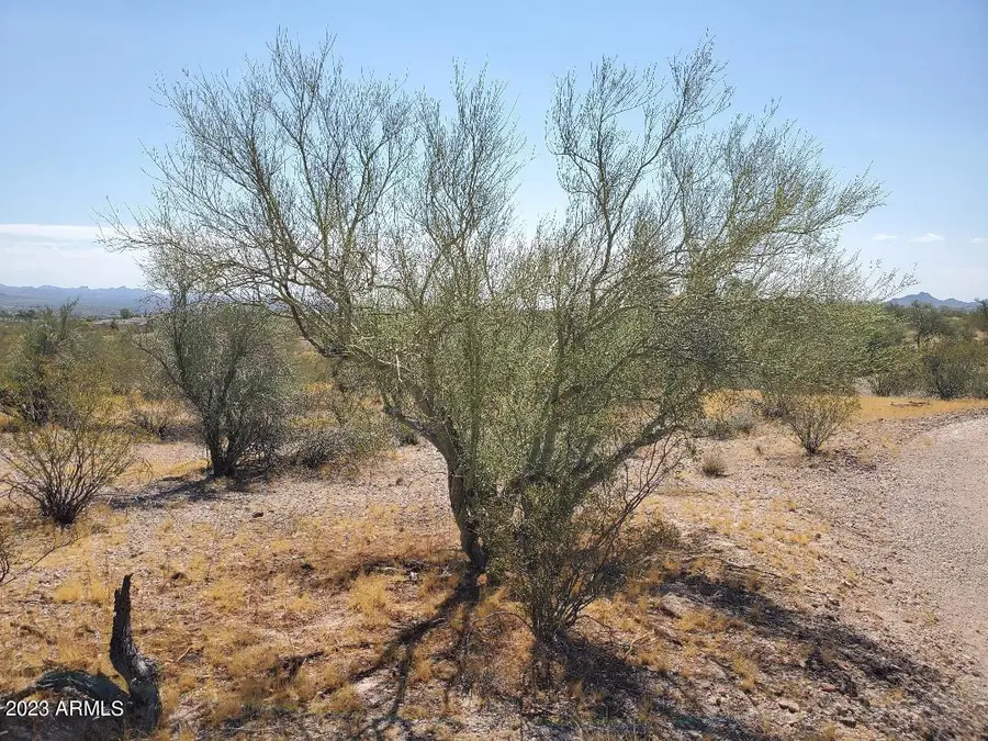 LOT 1*** 337th Avenue #1, Wickenburg, AZ 85390 - #2