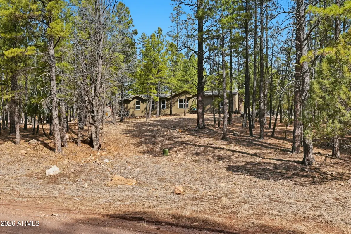 2381 Blue Ridge Drive, Happy Jack, AZ 86024 - #1