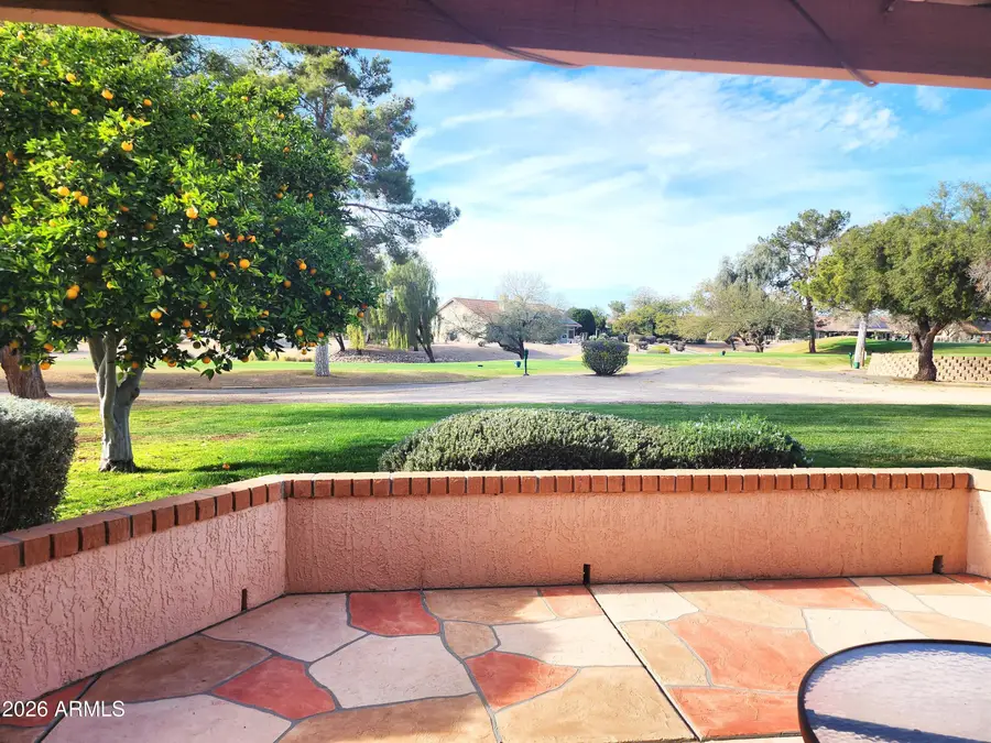 14226 W Sky Hawk Drive, Sun City West, AZ 85375 - #3