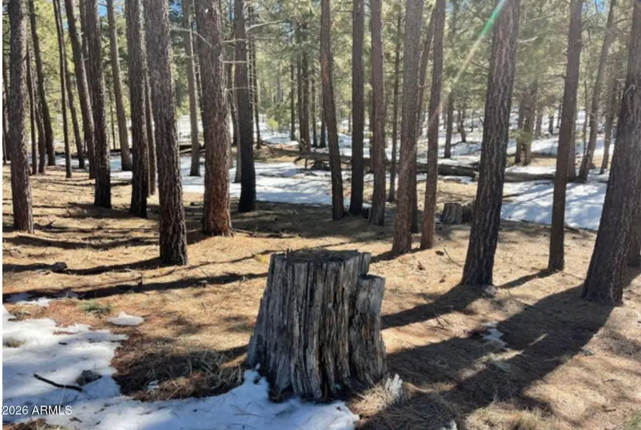 2692 State Route 260 Route #895, Forest Lakes, AZ 85931 - #2