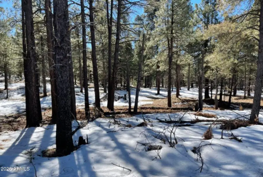 2692 State Route 260 Route #895, Forest Lakes, AZ 85931 - #3
