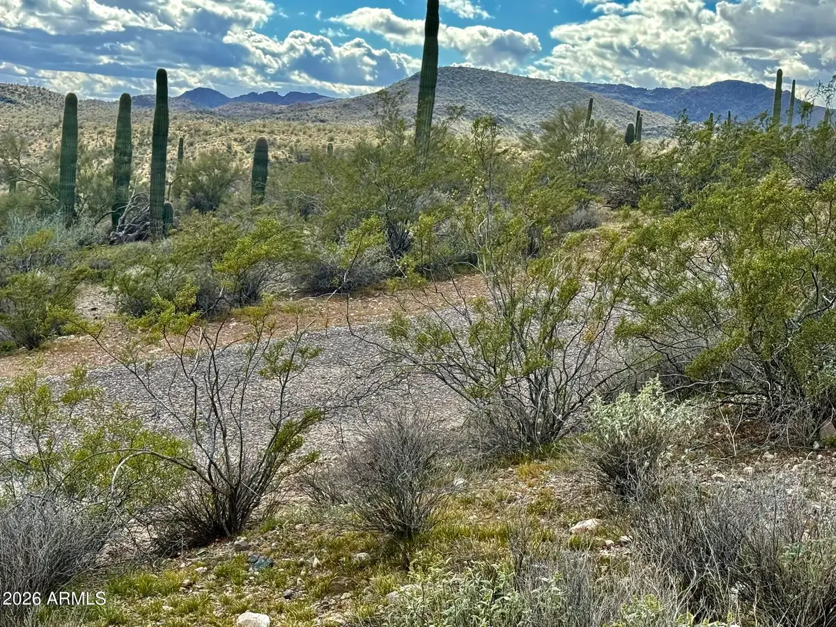 XX00 W Grand Avenue, Morristown, AZ 85342 - #1