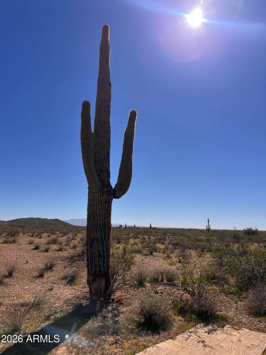 31XXX W Carlise Road #105, Wittmann, AZ 85361 - #3