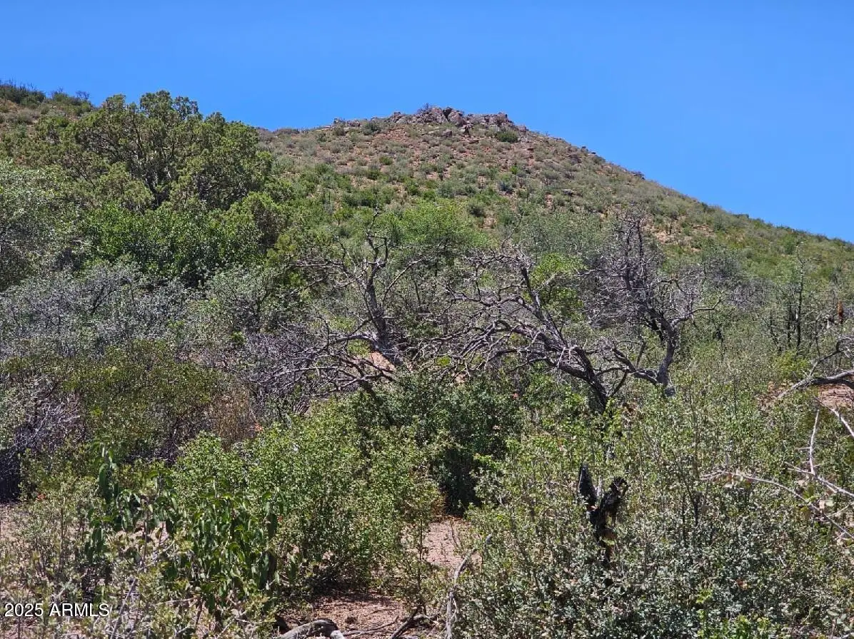 4XX S El Capitan Drive, Globe, AZ 85501 - #1