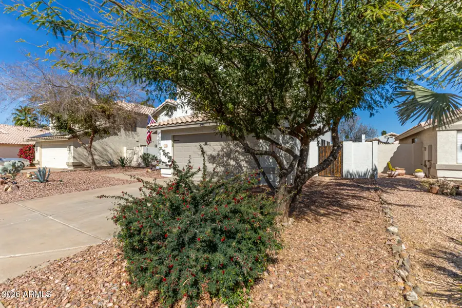 1664 E Olive Avenue, Gilbert, AZ 85234 - #3