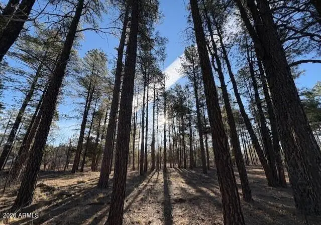 2360 Narrow Leaf Lane, Show Low, AZ 85901 - #1