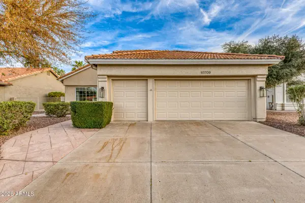 10709 E Champagne Drive, Sun Lakes, AZ 85248