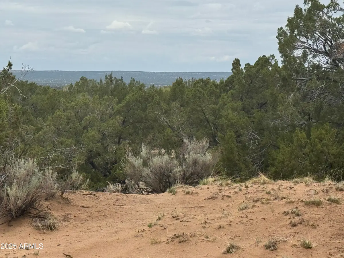 Lot 78 Witch Well Ranches -- #78, Saint Johns, AZ 85936 - #1