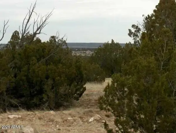 Lot 302 Chevelon Canyon Ranch -- #302, Heber, AZ 85928