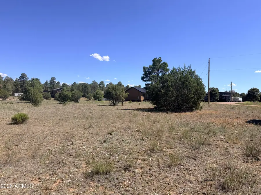 2287 Meadow Lane #165, Overgaard, AZ 85933 - #3