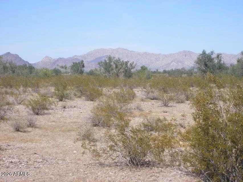 0 W - Avenue, Tonopah, AZ 85354 - #3