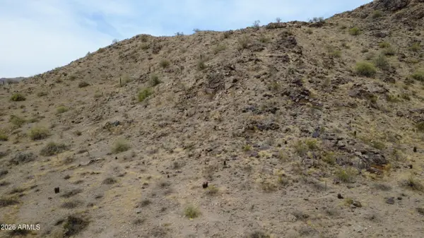 13829 S Canyon Drive #33, Phoenix, AZ 85048