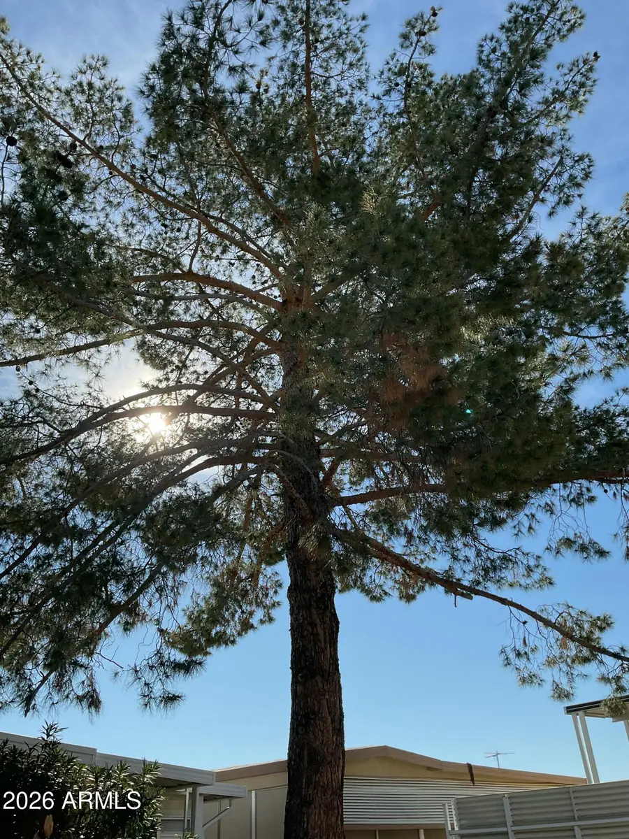 17200 W Bell Road #242, Surprise, AZ 85374 - #2