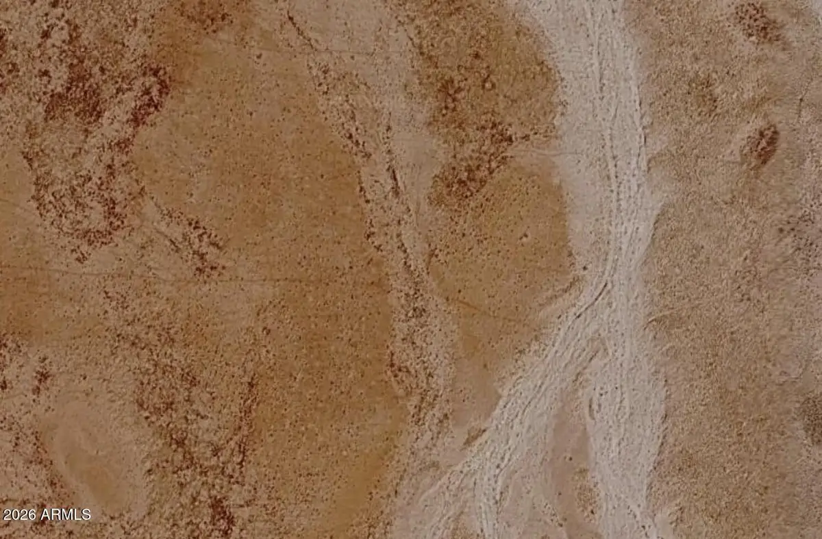 TBD Tbd -- #8, Holbrook, AZ 86025 - #1