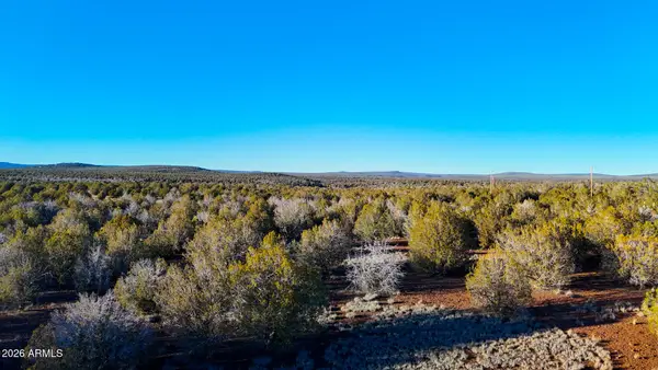 2408, 2374 W Skyline Drive, Ash Fork, AZ 86320