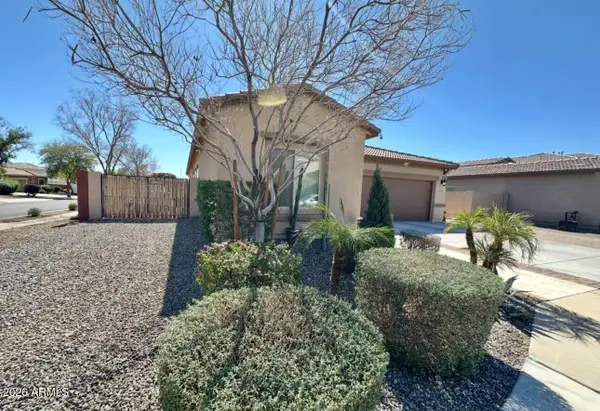 16703 W Rowel Road, Surprise, AZ 85387