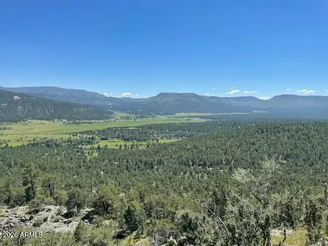 N2112 N 2112 Alley #10268003, Nutrioso, AZ 85932 - #2