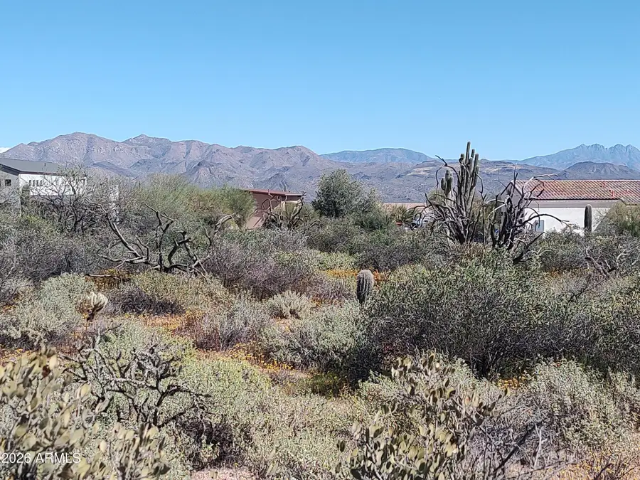 31XXX N 166th Place, Scottsdale, AZ 85262 - #3