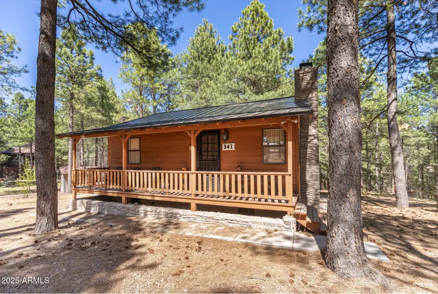 341 Pinto Road, Forest Lakes, AZ 85931 - #2