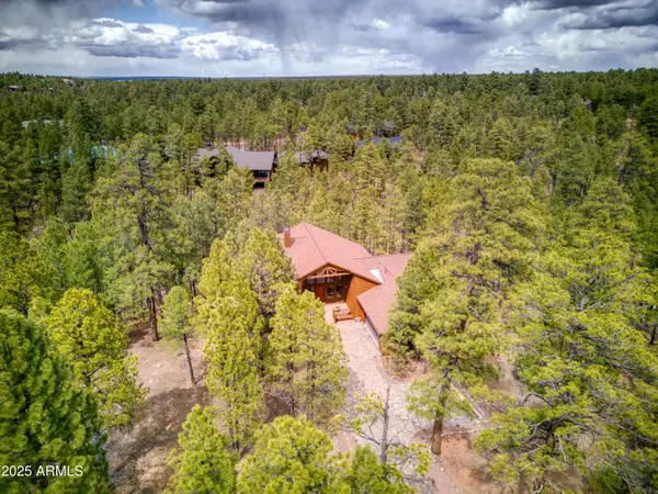 520 N Silverleaf Lane, Show Low, AZ 85901