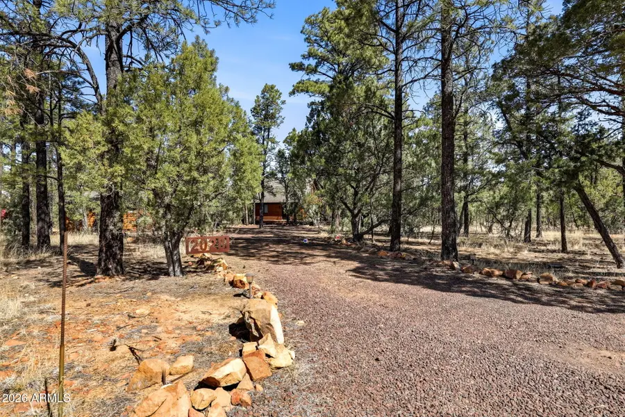 2028 Jones Pass --, Overgaard, AZ 85933 - #3