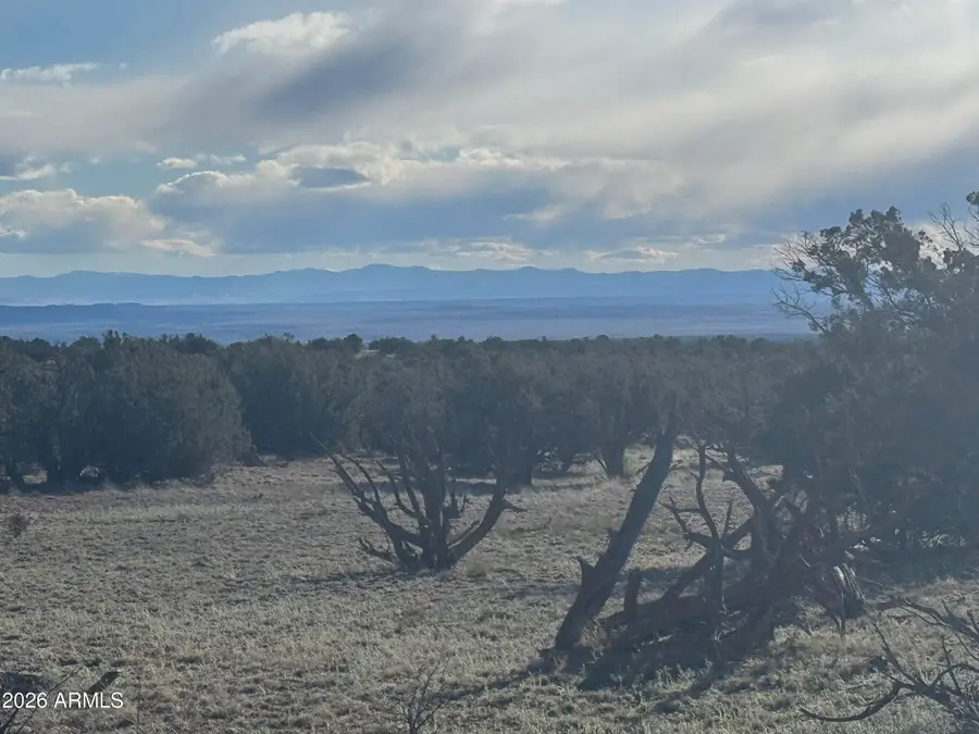 Lot 93 Red Sky Ranch -- #93, Saint Johns, AZ 85936 - #3