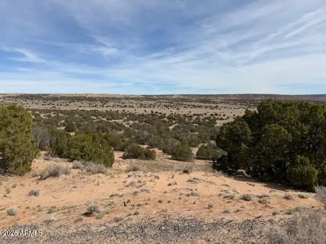 191 N 191 Alley #20434058, Saint Johns, AZ 85936 - #1