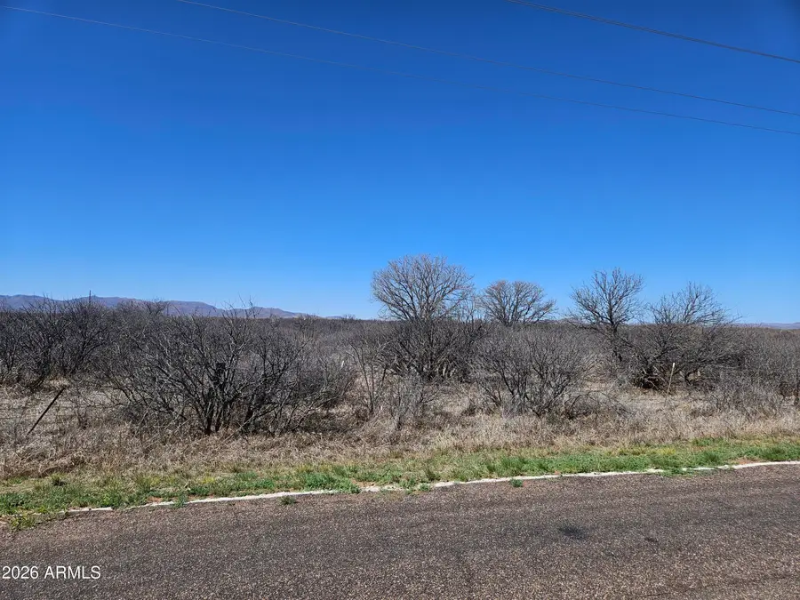 XXXX N Frontier Road, McNeal, AZ 85617 - #2