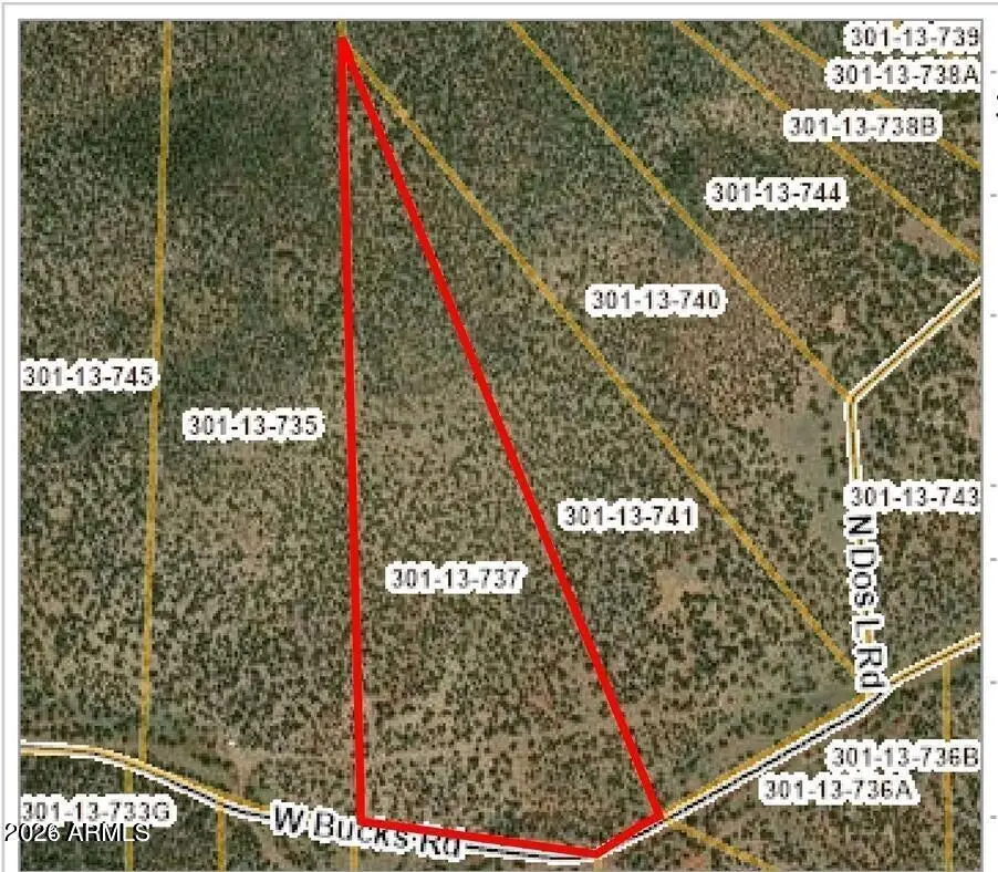 1519 W Bucks Road #1519, Seligman, AZ 86337 - #1