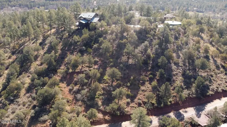 165 N Portal Drive #165, Pine, AZ 85544 - #3