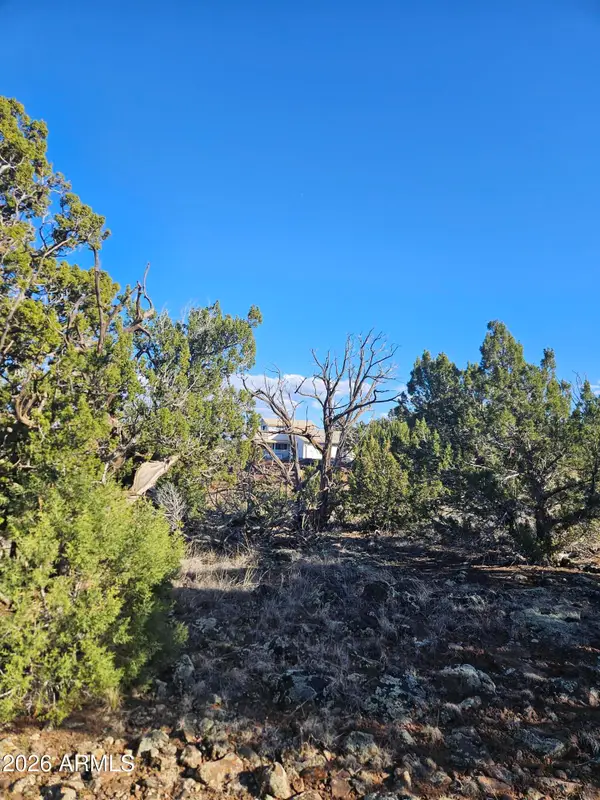 1856 Rainbow Circle, Show Low, AZ 85901