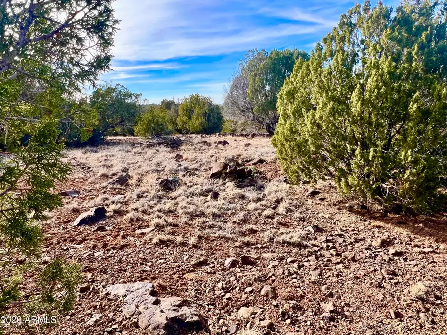 1877 Rainvow Circle, Show Low, AZ 85901 - #2