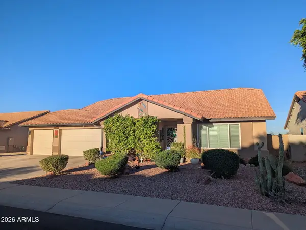 20324 N 110th Lane, Peoria, AZ 85373